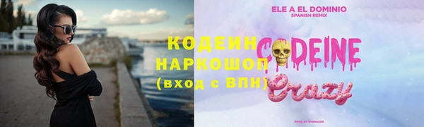 прущие крисы Няндома