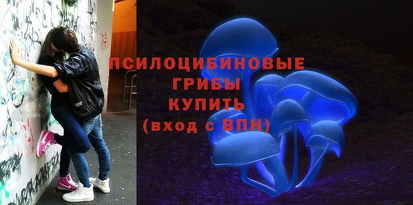 а пвп мука Нягань
