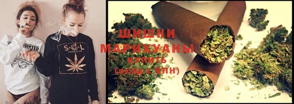 прущие крисы Няндома