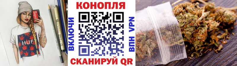 Шишки марихуана марихуана  Ессентуки 