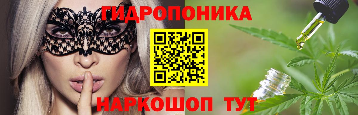 Бошки марихуана семена  Марихуана семена  Каннабис VHQ  Ессентуки  Вход с VPN 