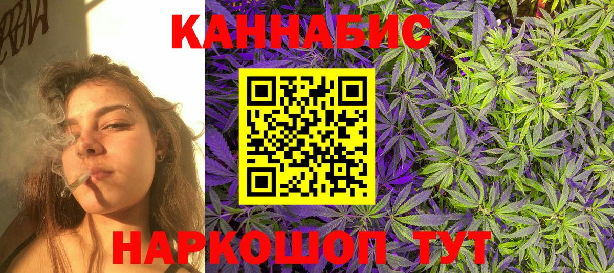 Каннабис планчик Ессентуки